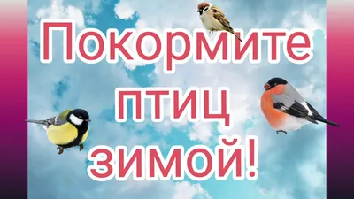 Стартовала традиционная акция «Покорми птиц зимой» | 12.11.2021 |  Чайковский - БезФормата