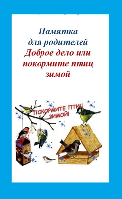 В Низовке прошла акция «Покормите птиц зимой!» — «Земля Самойловская»,  новости Самойловского района