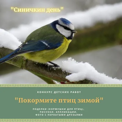 Экологическая акция «Покормите птиц зимой - 2023» | МАДОУ Детский сад № 14  г.Липецка