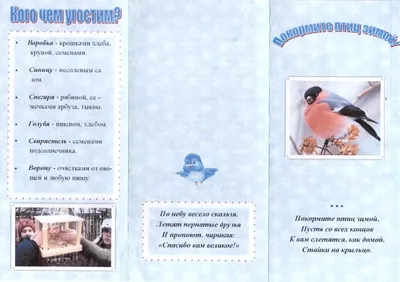 Акция «Покормите птиц зимой» - МАДОУ Детский сад №32 «Звёздная колыбель» г.  Липецка