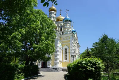 Любимые звезды приморцев вновь засияют в Покровском парке - KP.RU