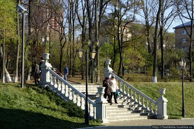 Масштабный ремонт Покровского парка во Владивостоке завершится в этом году  - KP.RU