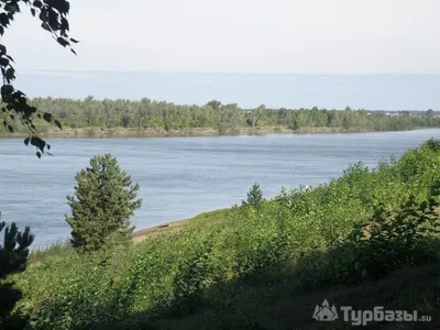 База отдыха «имени Покрышкина» в Омской области - цены 2024, фото, отзывы