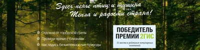 В ОМЦ «Химик» снова будут проводить концерты | 12 канал