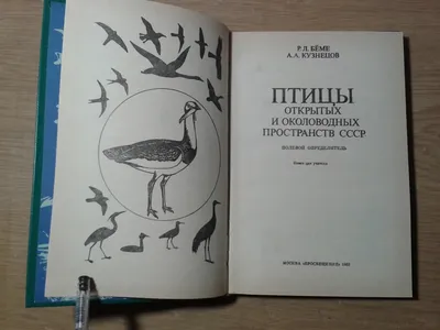 Птицы Румлево | Гимназия № 1 г. Гродно — официальный сайт