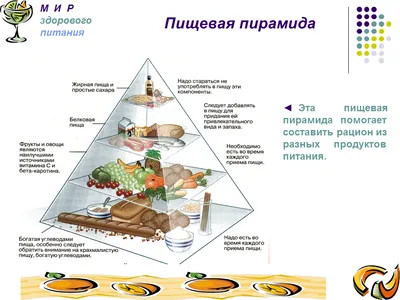 Полезные продукты питания для школьника | Педагогика и жизнь или жизнь  педагога 📚 | Дзен