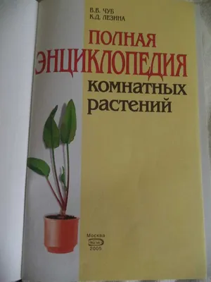 Полная иллюстрированная энциклопедия комнатных растений. Купить в Малорите  — Книги Ay.by. Лот 5013351177