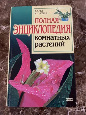 Иллюстрация 1 из 37 для Полная энциклопедия комнатных растений - Юлия  Сергиенко | Лабиринт - книги. Источник: Лабиринт