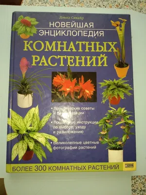 Полная энциклопедия комнатных растений. В содержании... купить в ЛМС с  доставкой | Авито