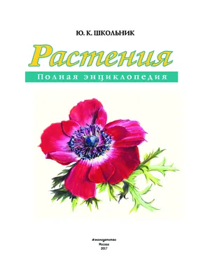 Новейшая Энциклопедия Комнатных Растений — Купить на BIGL.UA ᐉ Удобная  Доставка (1674050516)