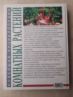 Книга Комнатные растения для вашего здоровья выращивание уход и целебный  эффект полная энциклопедия Андрей Цицилин - купить, читать онлайн отзывы и  рецензии | ISBN 978-5-699-59536-5 | Эксмо