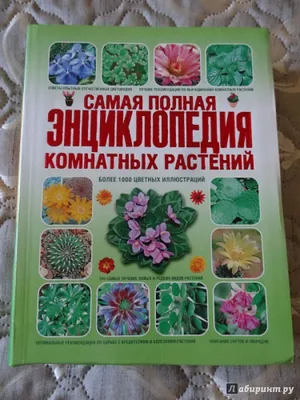 Новейшая энциклопедия комнатных растений дэвид сквайр, цена 30 грн - купить  Книги бу - Клумба