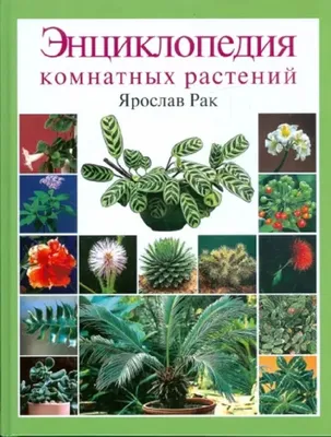 Ю. В. Сергиенко Полная энциклопедия комнатных растений. Купить в Щучине —  Книги Ay.by. Лот 5032543568