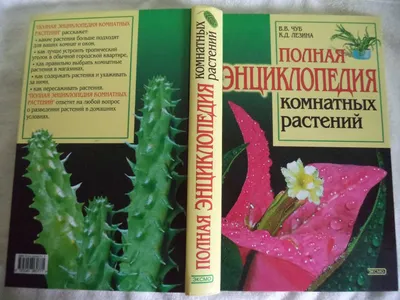 Полная энциклопедия комнатных растений – купить в Москве, цена 80 руб.,  продано 26 февраля 2020 – Книги и журналы