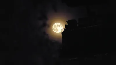 Сегодняшнее полнолуние над Алматы 🌕 Город уже с зеленью, а горы в снегу –  красивая картинка получается! А со светом луны, так вообще… | Instagram