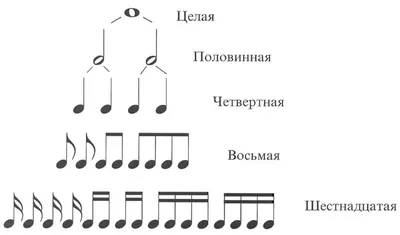 Полу нота Музыкальная нота Четверть ноты Стебель, музыкальная нота, угол,  половина ноты, динамика png | PNGWing