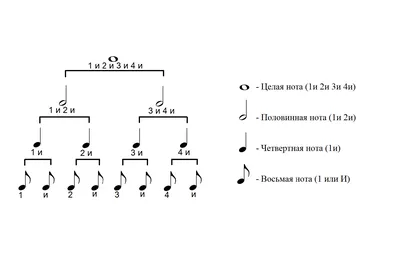 Точечная нота Половинка Нота Четверть Нота Музыкальная нота, угол, ритм, половинная  нота png | Klipartz