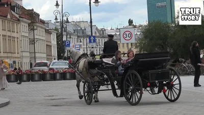 Польские наемники подтвердили участие в атаке на Белгородскую область |  ForPost