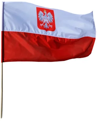 Скачать обои флаг, Польша, flag, Poland, flaga, Polska, раздел текстуры в  разрешении 1024x1024