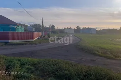 Омичи все чаще выбирают туры выходного дня по необычным местам | Общество,  Отдых и туризм | Омск-информ