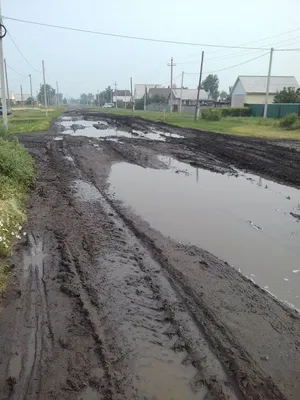 В Омской области автопарк районных больниц пополнился тридцатью новыми  машинами | 07.09.2023 | Полтавка - БезФормата