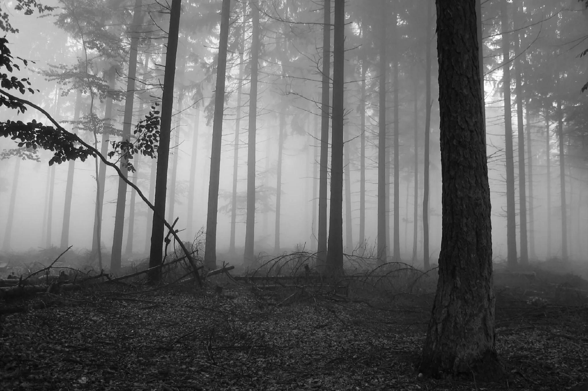 Фотохостинг - Загрузить фото и получить ссылку Фотохостинг - Загрузить фото и получить ссылку