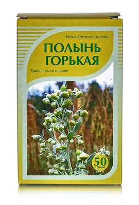 Полынь Божье дерево за 0,1 г - купить в Украине — интернет-магазин СолнцеСад