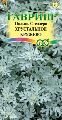 Семена полыни горькой 25/50 грамм Полынь горькая для абсента 171823212  купить в интернет-магазине Wildberries