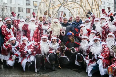 ВЕСЁЛЫЕ ПОМОЩНИКИ ДЕДА МОРОЗА - ЭЛЬФЫ🎄 ⠀ Рады Вам представить новые  костюмы прекрасных Эльфов 🎁 Они уже помогают Дедушке Морозу собирать… |  Instagram