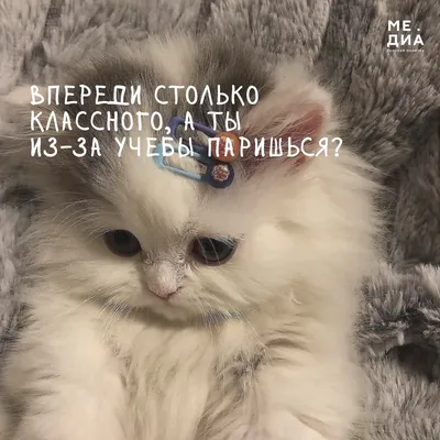 ПОНЕДЕЛЬНИК ДЕНЬ ТЯЖЕЛЫЙ НО ПРИЯТНЫЙ