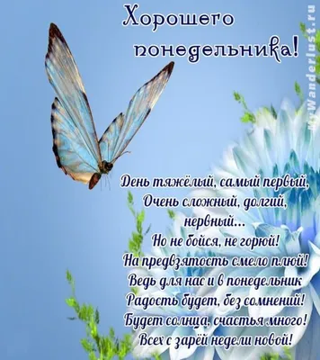 Добрейшего утра! Лёгкого понедельника 😜😊🤗🌞🌞🌞🌈 #доброеутро  #настроение #позитив #gudmorning #мантра #аффирмации #юмор #сюморомпожизни  | Instagram