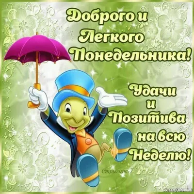 Бодрого утра! Лёгкого понедельника 😜😊🤗🌞🌞🌞🌈 #доброеутро #настроение # позитив #gudmorning #мантра #аффирмации #юмор #кофе #завтрак #улыбнись |  Instagram