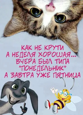 доброеутро #понедельник#начало #новой#недели | TikTok