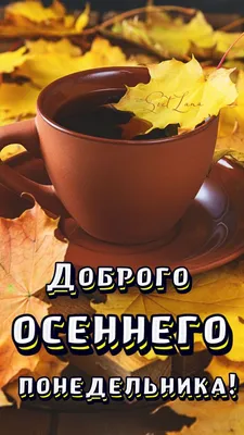 Картинки с пожеланиями доброго понедельника: пусть неделя будет удачной |  Пожелания | Дзен