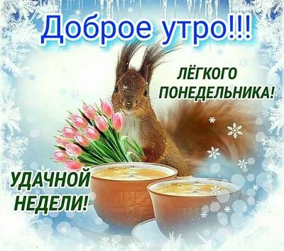 Картинки \"Доброго Утра Понедельника!\" (152 шт.)