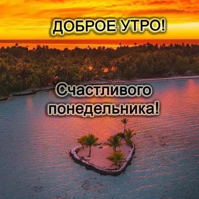 понедельникутро #спонедельником #понедельник #хорошегонастроения #при... |  TikTok