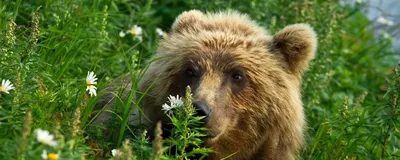 Завтра может не быть\". Как живут в Беларуси те, кто не уехал после  протестов 2020 года