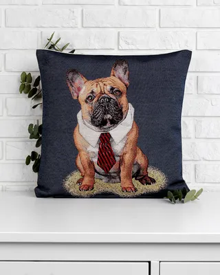 Royal Canin French Bulldog Adult корм для собак породы французский бульдог  в возрасте от 12 месяцев - 3 кг - купить в Москве | КотМатрос