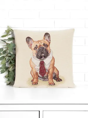 https://ru.pngtree.com/freepng/dog-breed-french-bulldog-white_14429296.html