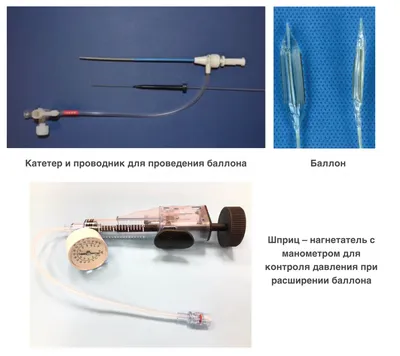 Наши мохнатые Братья меньшие : Мастерская