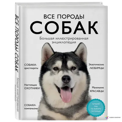 Все породы собак. Большая иллюстрированная энциклопедия Эксмо 15472386  купить за 310 600 сум в интернет-магазине Wildberries