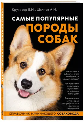 Охотничьи породы собак: виды и особенности | Royal Canin UA