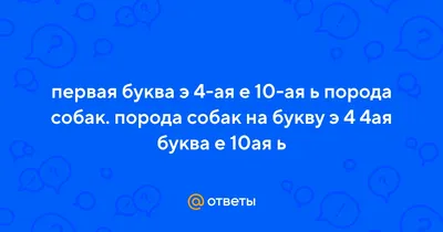 Топ-10 Самые дорогие породы собак в мире | Among Us | Vestamart | Дзен