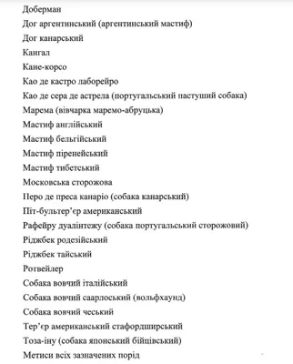 Самые умные собаки - какую породу выбрать – фото | OBOZ.UA