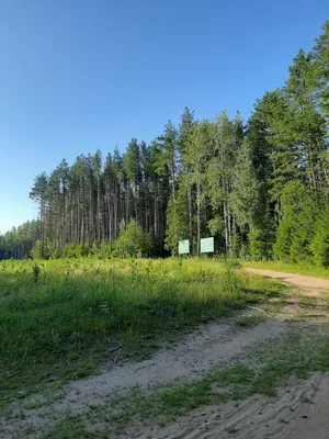 Тайпарк Порошино - веревочный парк в Кирове