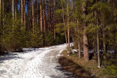 Отзыв о Спортивно-туристический комплекс \"Порошино\" (Россия, Кировская  область) | Вырвемся на природу...