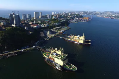 Свободный порт Владивосток - Инвестиционная деятельность - Ханкайский  муниципальный округ