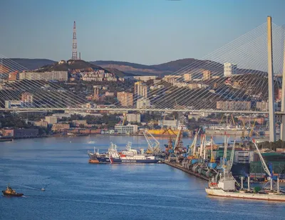 Свободный порт Владивосток начнется с отеля - Коммерсантъ