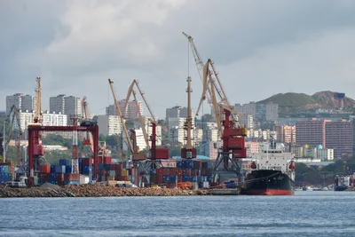 ВМПП построит специализированный контейнерный порт во Владивостоке на 475  000 TEU — Медиапалуба