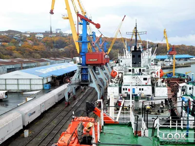 Министерство Российской Федерации по развитию Дальнего Востока | Президент  России расширил территорию свободного порта Владивосток